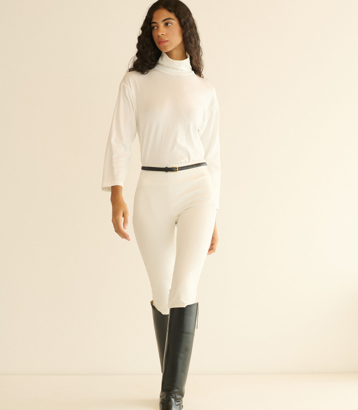Hawthorn Turtleneck in Salt - view 3
