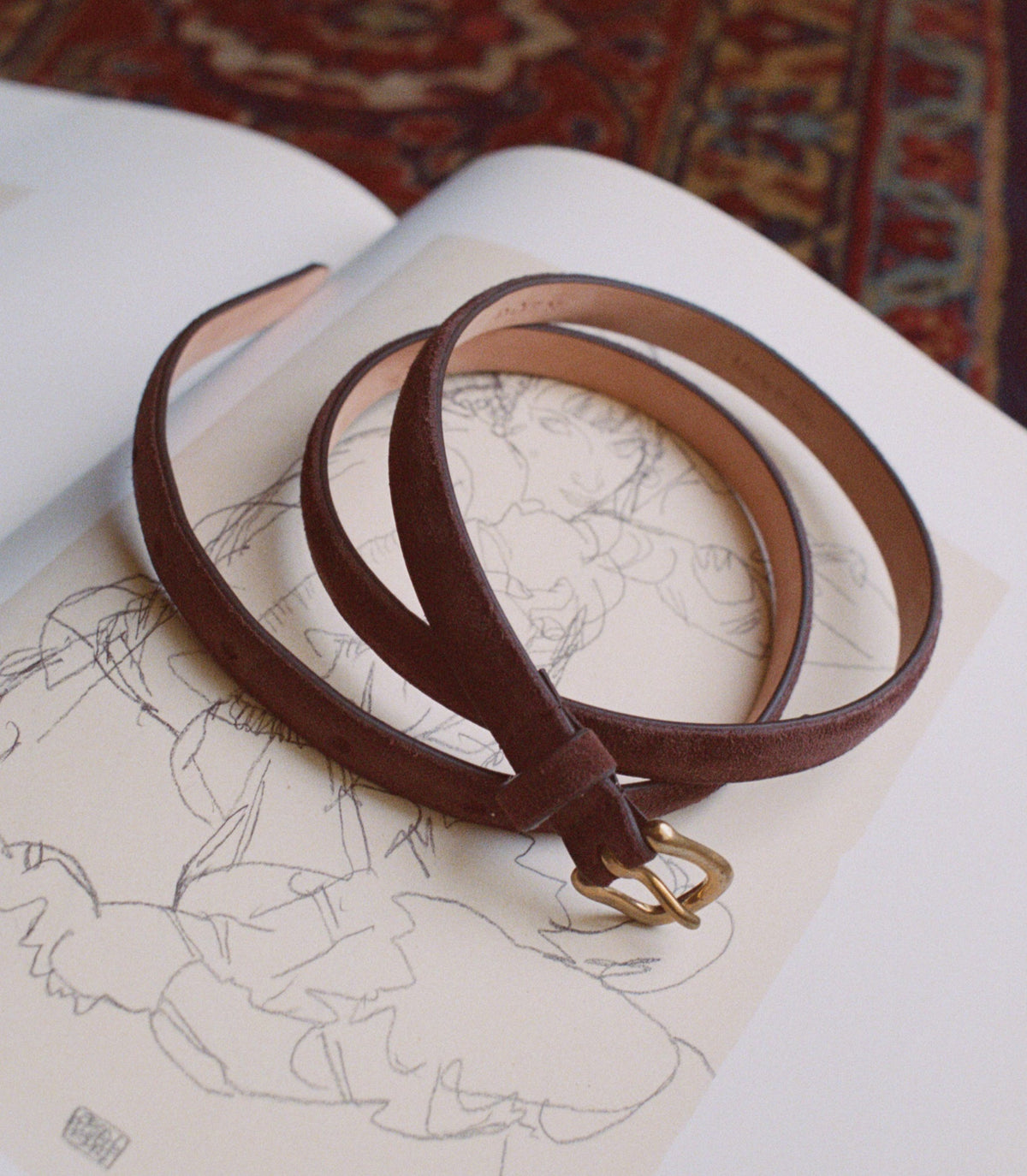 Zaza Belt in Equestrian Brown Suede - view 1
